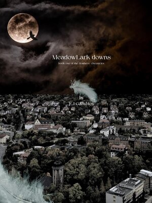 cover image of Meadowlark Downs